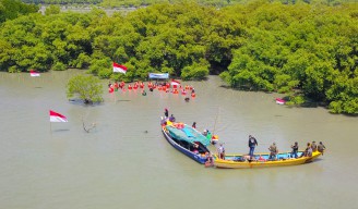 Peringati HUT RI, Komunitas Lingkungan di Gresik Tanam Ratusan Bibit Mangrove di Kalimireng