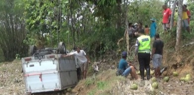 Truk Box Terguling di Magetan, Kelapa Hijau Berserakan