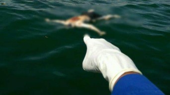 Usai Antar Istri ke Madura, Jasad Pria Ini Ditemukan Mengapung di di Laut