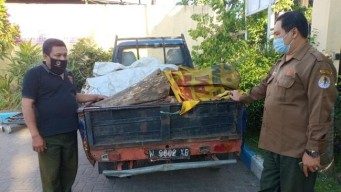 Muat Kayu Hasil Pembalakan Liar di Pasuruan, Sopir Pikap Asal Gempol Diamankan