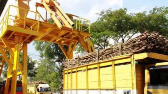 Realisasi Target Produksi Tebu PTPN X Sudah Capai  50 Persen Lebih
