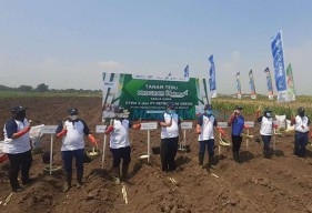 Wujudkan Agro Solusi, PTPN Gandeng Petrokimia Gresik Gelar  Tanam Tebu Perdana di Mojokerto