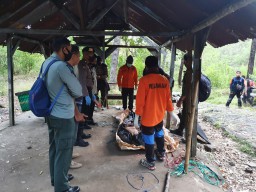 Pria 71 Tahun Ditemukan Tak Bernyawa di Puncak Gunung Lawu