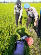 Senjata Makan Tuan, Petani di Ngawi Tewas Gegara Jebakan Tikus Listrik