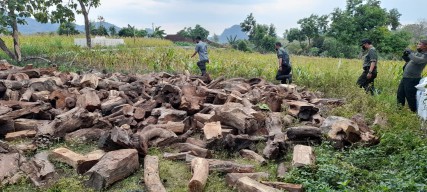 Operasi Bocor, Pelaku Kasus Illegal Logging di Bojonegoro Berhasil Kabur