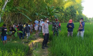 Pamit Mencari Kodok, Warga Ngawi Pulang Tinggal Nama