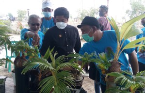 Uniknya Bonsai Kelapa di Sidoarjo, Harganya Tembus Rp 45 Juta