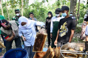 Tambah Imun, Bupati Panen Madu Asli Bojonegoro