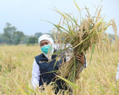 Momentum HPS 2021, Gubernur Jatim Ajak Perkuat Ketahanan Pangan dengan Sederhana