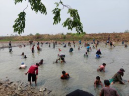 Tradisi Nyusuk Desa Gredek Gresik Sambut Musim Hujan