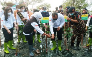 Gubernur Jatim Tanam Mangrove di Desa Binaan PGN Saka