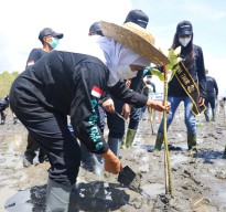 Pemprov Jatim Galakkan ‘Nandur Mangrove’, Ini Tujuan Utamanya
