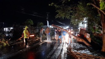 Tabrak Pohon Tumbang, Warga Tulungagung ini Meninggal di Lokasi Kejadian