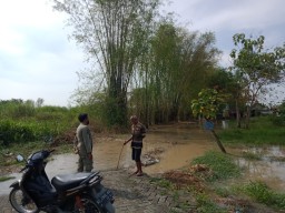 5 Desa Dua Kecamatan di Gresik Dapat Kiriman Luapan  Banjir Kali Lamong