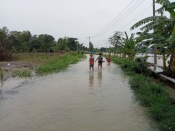 6 Desa di Kecamatan Benjeng dan Balongpanggang Kembali Kebanjiran