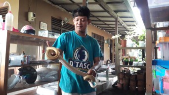 Polsek Ngantru Tulungagung Ungkap Harga Ular Piton yang Dijual Tersangka, Seharga Mobil