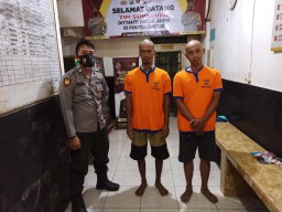 Grebek Rumah Pengedar Sabu Jaringan Madura, Polres Gresik Amankan 2,65 Gram Sabu Siap Edar