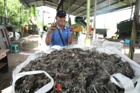 TPST Banjarbendo Olah Sampah Jadi Briket, Bupati Sidoarjo Dorong Replikasi