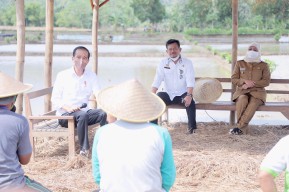 Jokowi Optimis Stok Beras Tercukupi Tanpa Impor