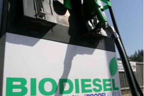 PT WIlmar Dapat Alokasi Pengadaan Biodiesel Tebersar Tahun Depan