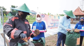Wali Kota Madiun Resmikan Demplot Tanaman Porang di Taman Wisata Ngrowo