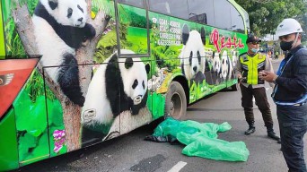 Hendak Temui Calon Istri, Pengendara Motor Ini Tewas Terlidas Bus di Singosari