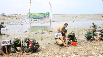 Selamatkan Pesisir Pantai Lamongan, Korem 082 Tanam 12.000 Mangrove
