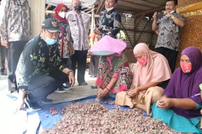 Tanami Rawa Kering dengan Bawang Merah, Desa di Lamongan Ini Hasilkan 40 Ton Sekali Panen