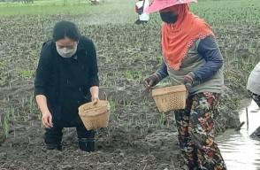 Kunjungan ke Nganjuk, Ketua DPR RI Disambati Petani Soal Harga Pupuk