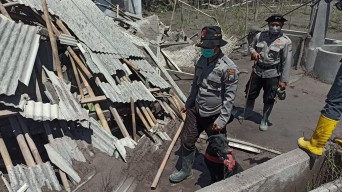 Fokus Pencarian Korban Erupsi Semeru, Petugas Terjunkan 4 Anjing Pelacak
