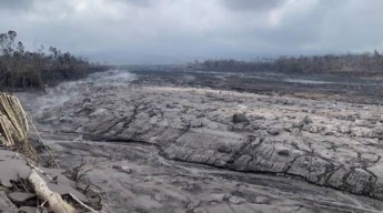 5.354 Hektar Lahan Perhutani di Lumajang Terdampak Erupsi Gunung Semeru