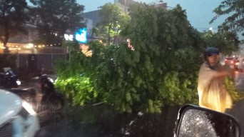 Diguyur Hujan Deras Angin Kencang,  Kota Surabaya Dikepung Banjir dan Pohon Tumbang 