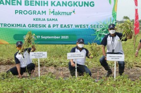 Serapan Pupuk Non Subsidi Program Makmur PG Tahun Ini Lebihi Target