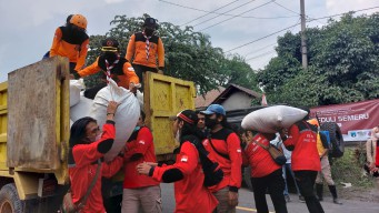 Bagikan Pakan Ternak, Pramuka Jatim Bergerak Bantu Warga Korban Erupsi Semeru