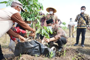 Pemulihan Ekonomi Tingkat Desa, Pemkab Sidoarjo Dukung Penguatan BUMDes