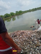 Dua Hari Hilang Misterius, Bocah Gresik Ditemukan Mengambang di Tambak