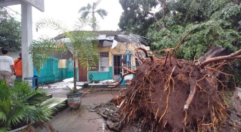Ruang Kelas SMAN di Pasuruan Rusak Tertimpa Pohon