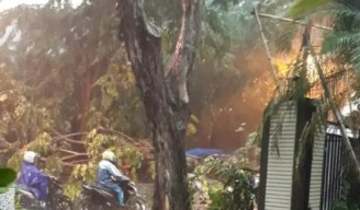 Sejumlah Wilayah Kota Gresik Banjir Usai Diguyur Hujan Lebat, Dua Pohon Juga Tumbang
