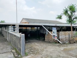 Usut Dugaan Penyelewengan Aset Desa, Polisi Periksa BPD dan Perangkat Desa Nogosari