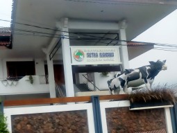 Soal Penjualan Aset KPSP Setia Kawan, Nama Oknum Dewan Pasuruan Disebut Terlibat