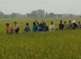 Maling Motor Babak Belur Dihajar Massa di Tengah Sawah