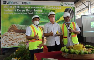 Perhutani Kembangkan Produlsi Biomassa Kayu Brumbung