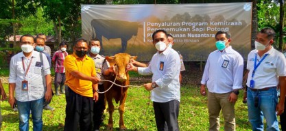 PTPN XII Bantu 710 Peternak Total Rp 8,5 Milliar Selama 2021