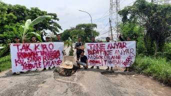 Kesal Jalan Rusak Tak Kunjung Diperbaiki, Warga Betoyo Manyar Gresik Demo Tanam Pohon Pudang