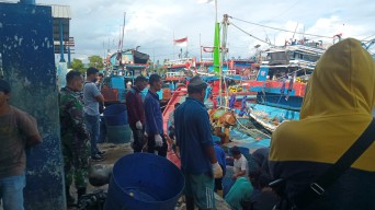 Nelayan Penangkap Lumba-lumba Diduga Pendatang