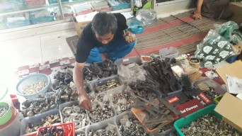 Toko Barang Antik di Tulungagung Diminati Pembeli Dari Luar Kota