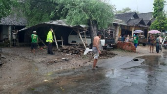 Pohon Asem Berusia Puluhan Tahun Tumbang, 2 Rumah di Ponorogo Rusak