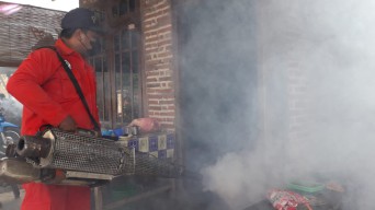 27 Warga Tulungagung Positif DBD, 1 Meninggal Dunia