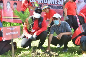 Hadiri HUT PDIP, Bupati Gresik Tanam Pohon di Waduk Bunder