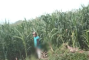 Perlihatkan Alat Kelamin Hingga Onani di Hadapan Wanita Pengantar Sekolah, Warga Magetan Diciduk Polisi
